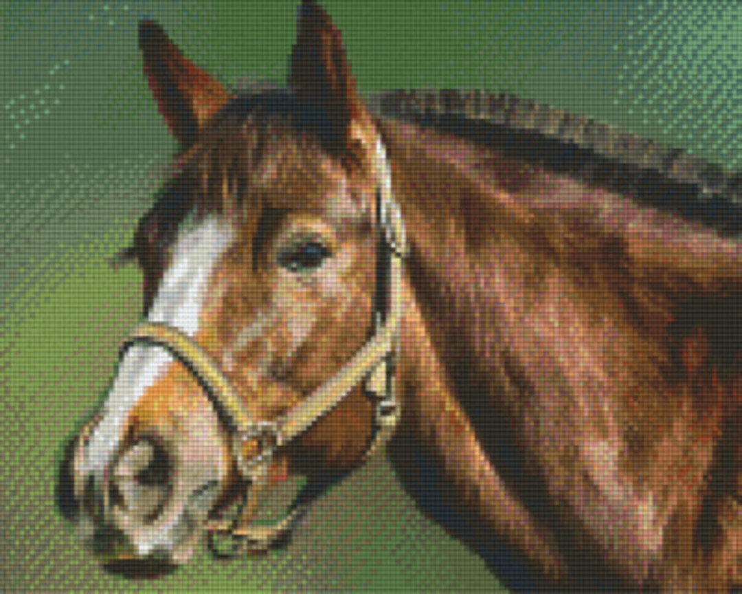 Horse Nine [9] Baseplate PixelHobby Mini-mosaic Art Kit image 0